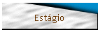 Estgio